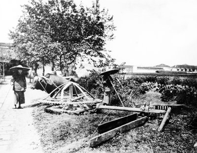 Irrigación con bueyes, China, c.1870-80 de European Photographer